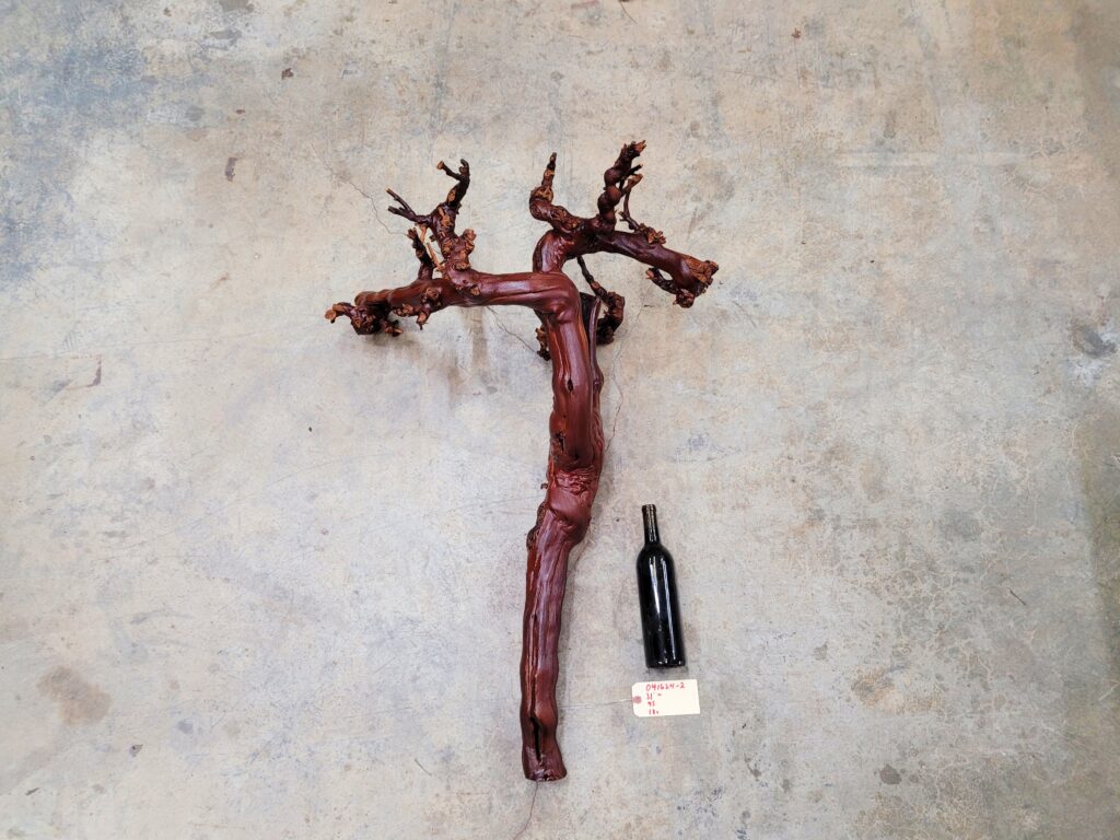 Domaine Carneros Pinot Noir grapevine sculpture 041624-2, full front view