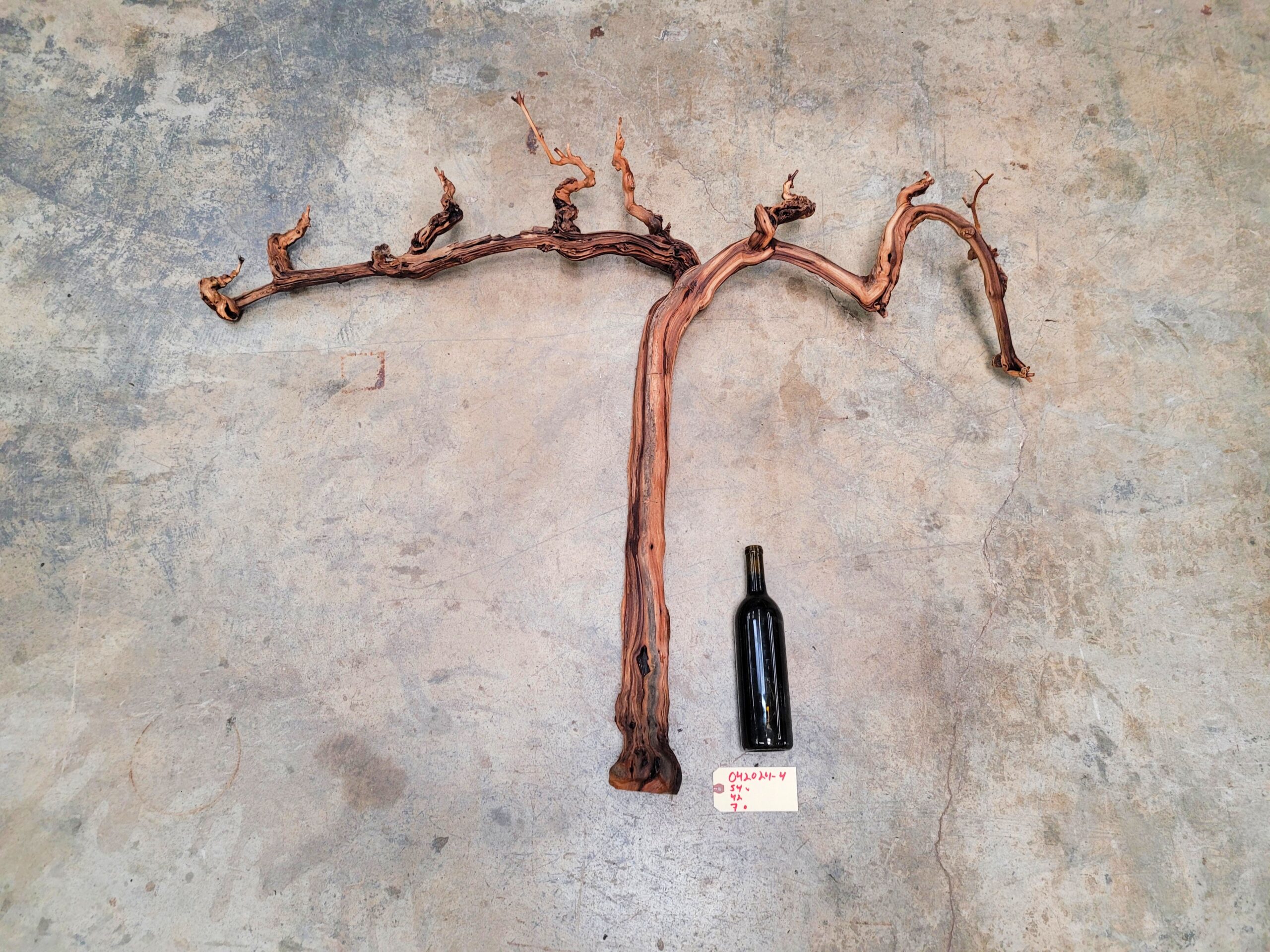 Rombauer Chardonnay Grape Vine Art from Napa 100% Recycled + Ready to Ship! 042024-4