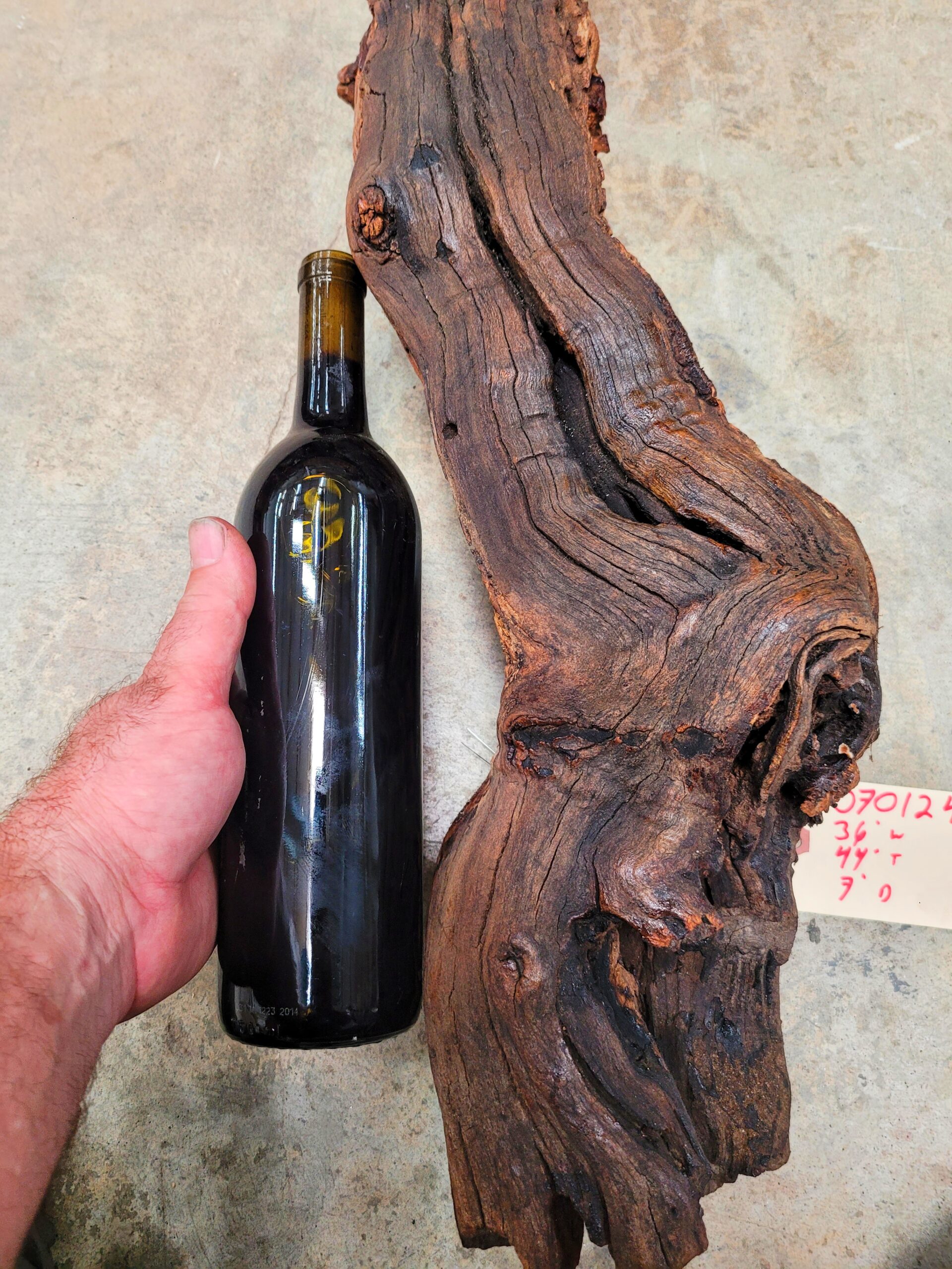 Saxum Petite Sirah Grapevine Art – Recycled California Wine Country Decor 070124-1 - Image 11