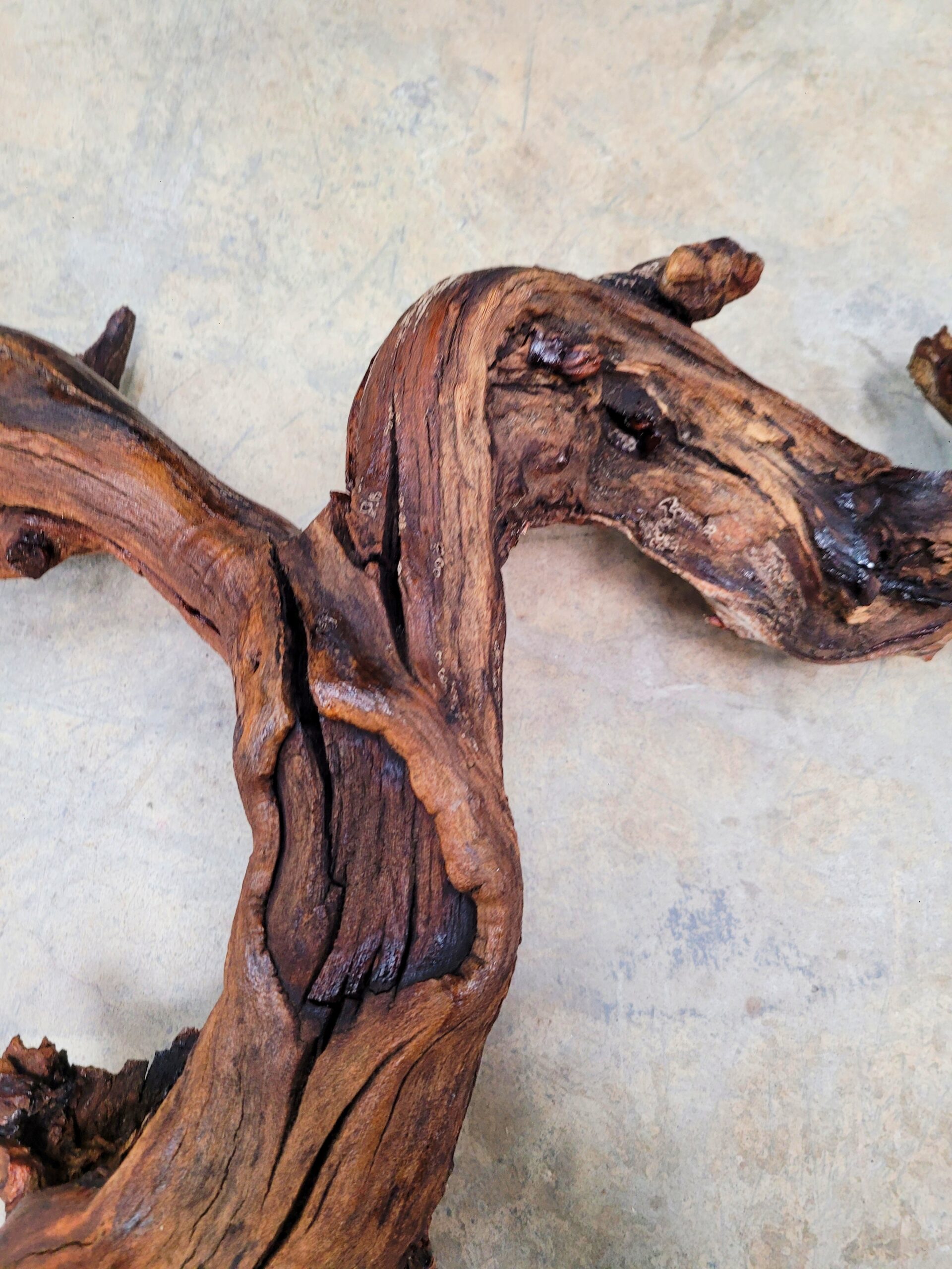 Saxum Petite Sirah Grapevine Art – Recycled California Wine Country Decor 070124-1 - Image 10