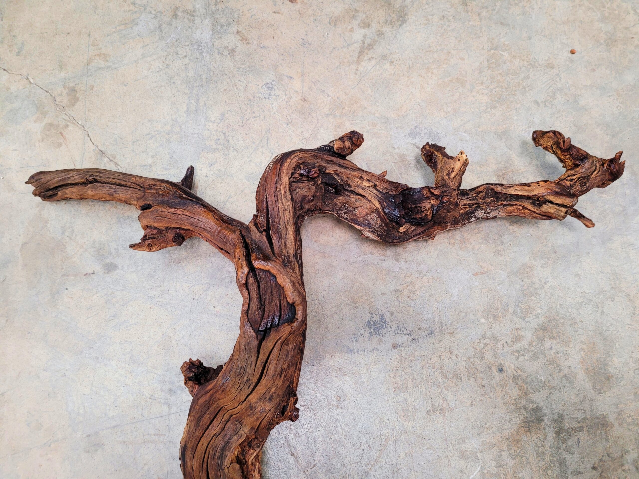 Saxum Petite Sirah Grapevine Art – Recycled California Wine Country Decor 070124-1 - Image 9