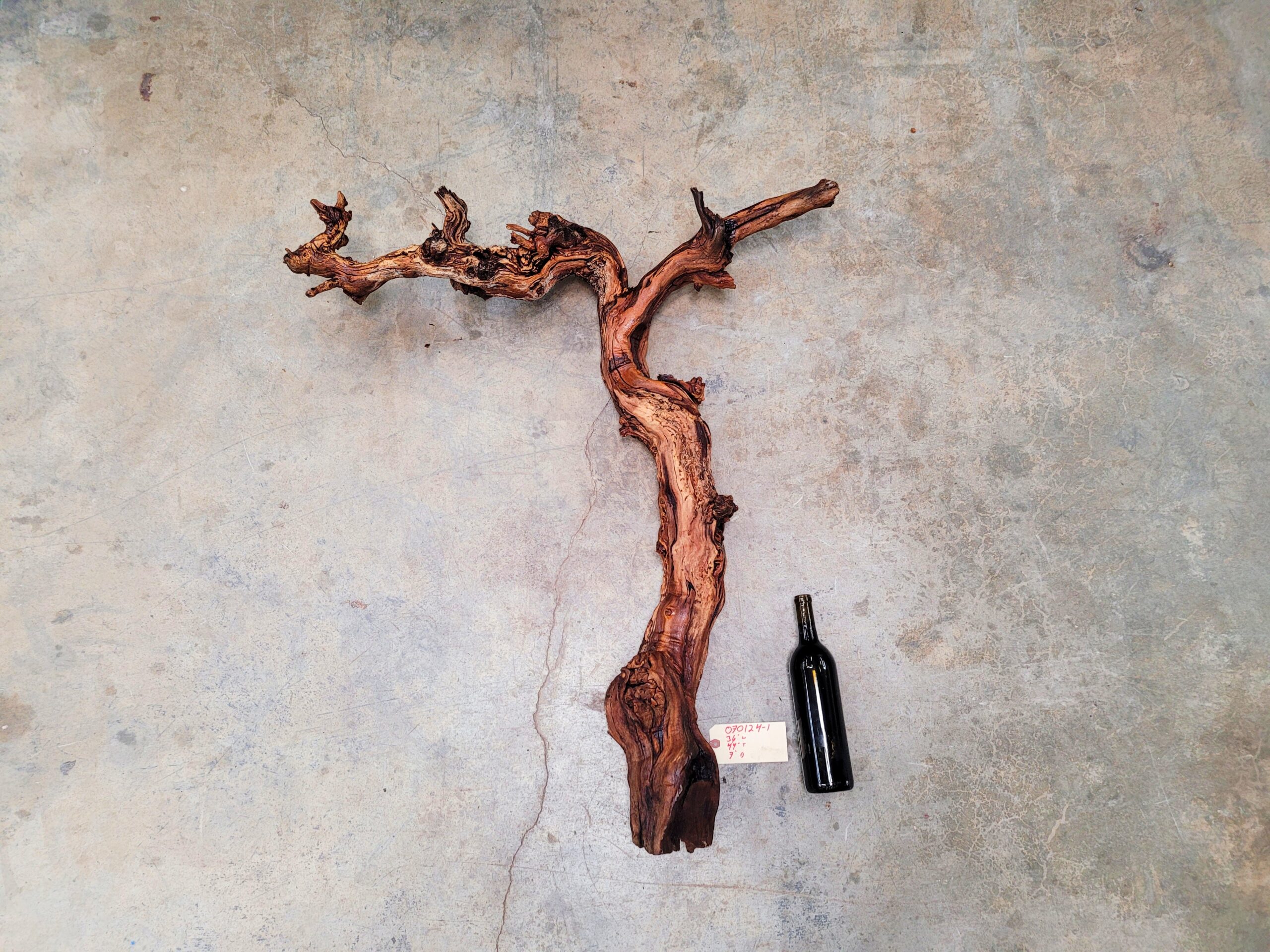 Saxum Petite Sirah Grapevine Art – Recycled California Wine Country Decor 070124-1 - Image 8