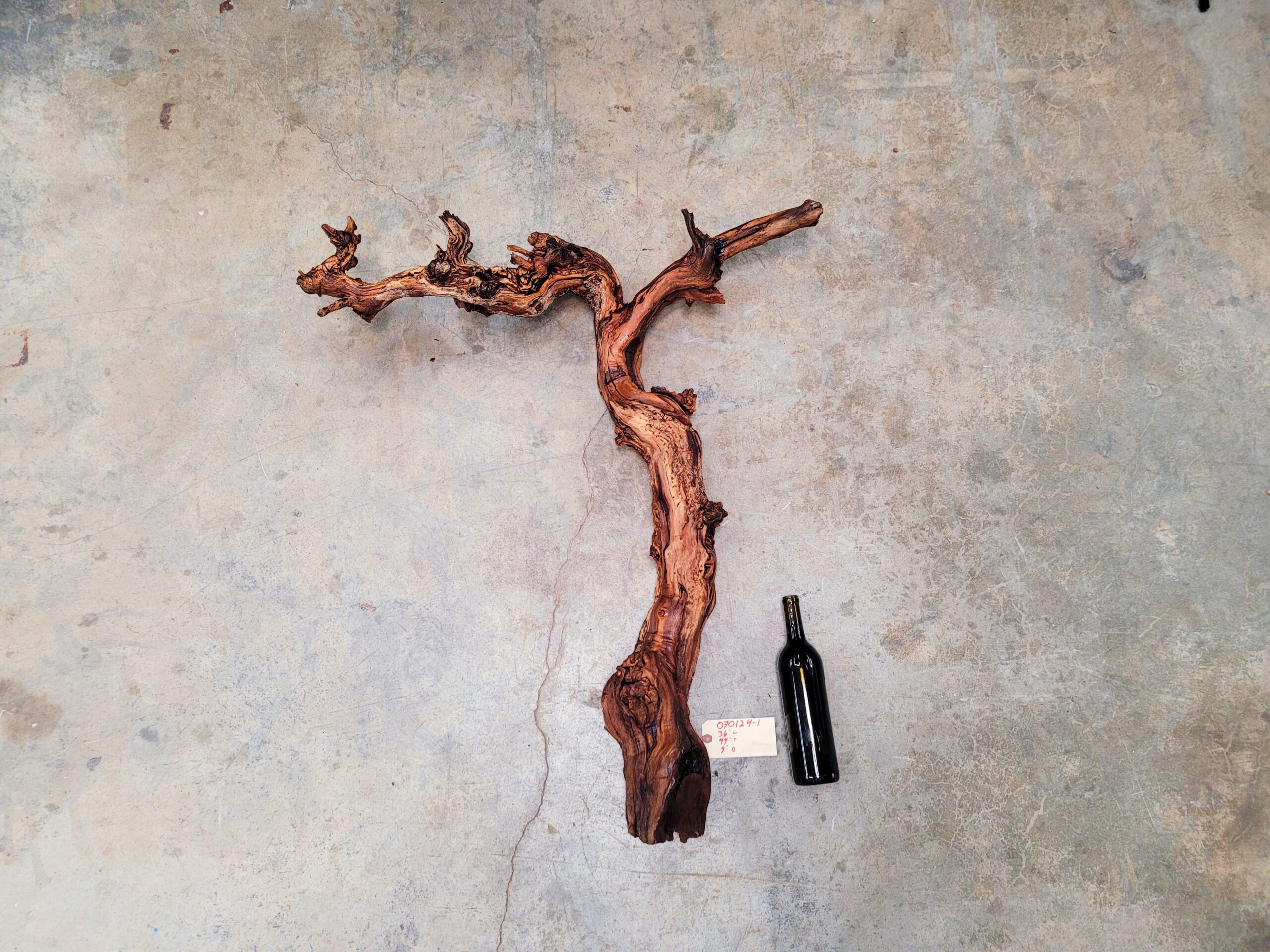 Saxum Petite Sirah Grapevine Art – Recycled California Wine Country Decor 070124-1 - Image 7