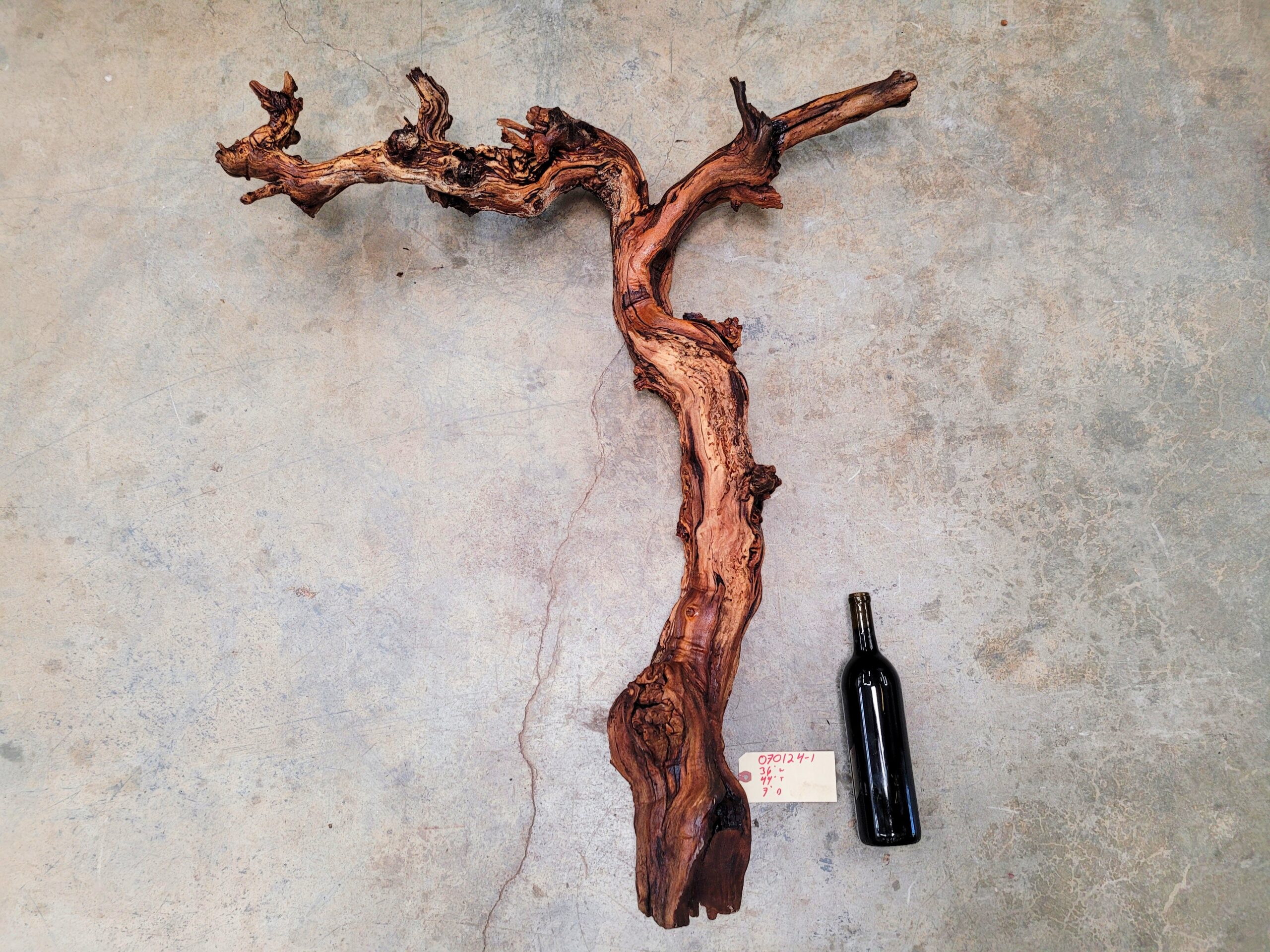 Saxum Petite Sirah Grapevine Art – Recycled California Wine Country Decor 070124-1 - Image 6