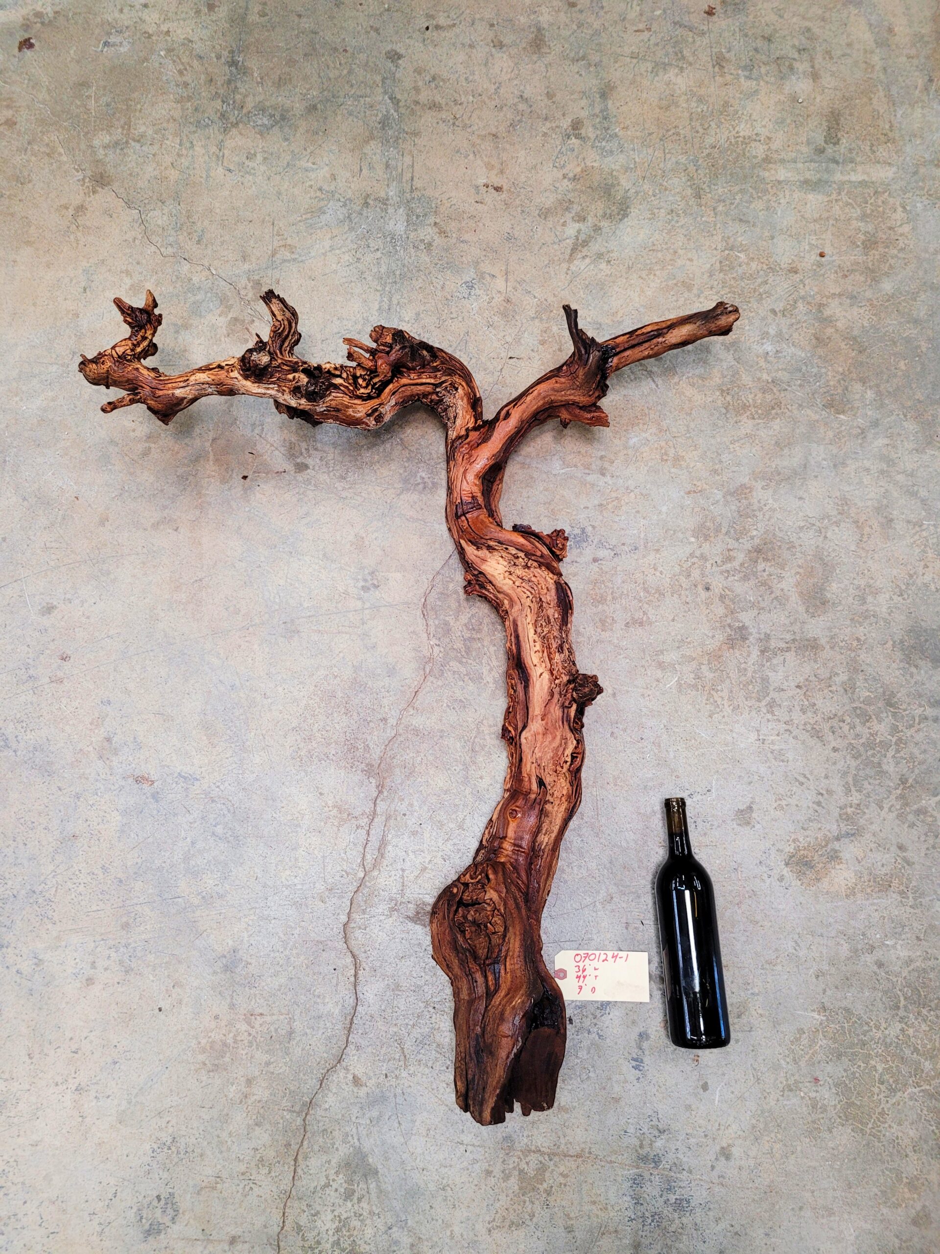 Saxum Petite Sirah Grapevine Art – Recycled California Wine Country Decor 070124-1 - Image 5
