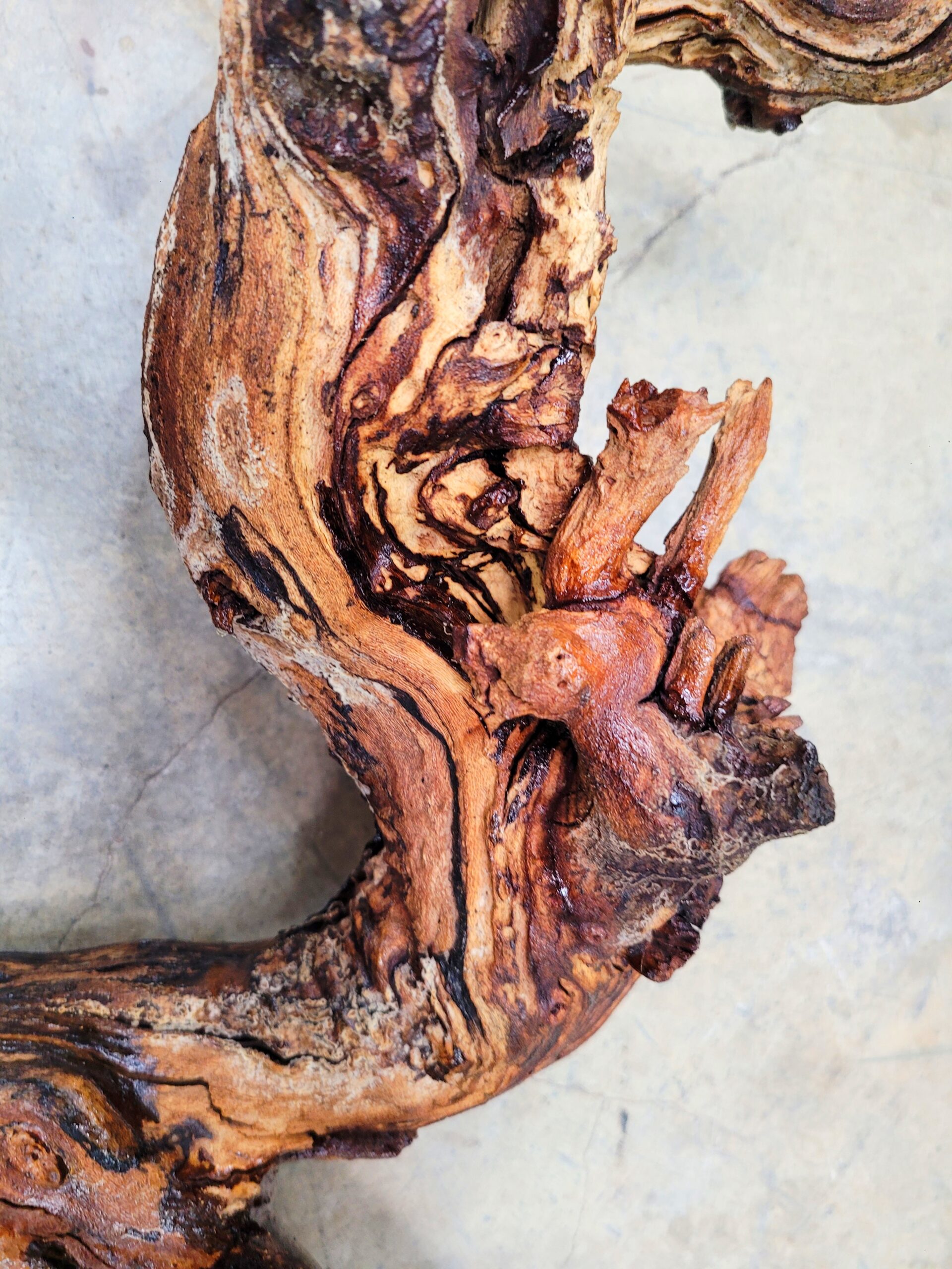 Saxum Petite Sirah Grapevine Art – Recycled California Wine Country Decor 070124-1 - Image 3