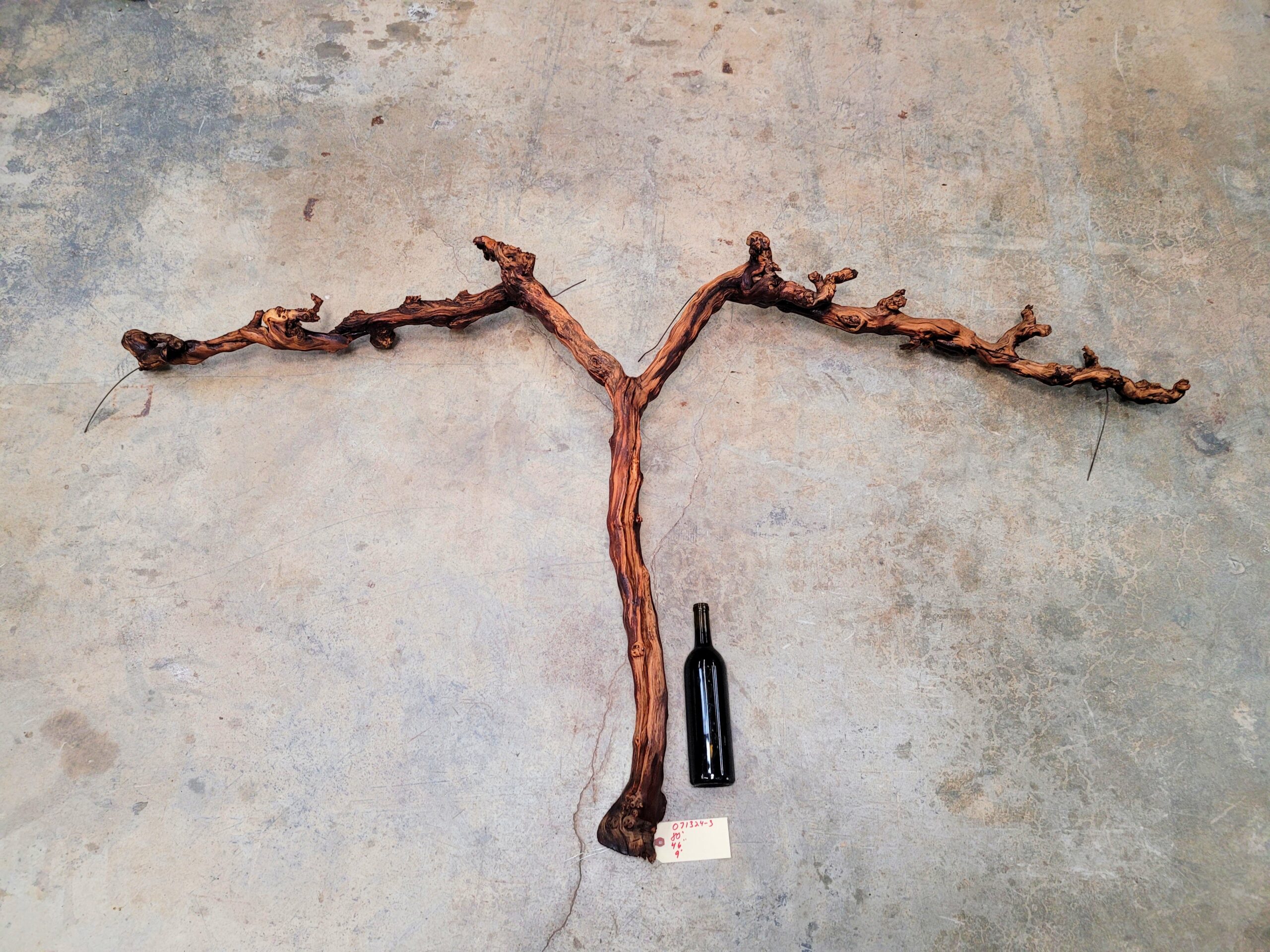 Rombauer Cabernet Grape Vine Art from Napa 100% Recycled + Ready to Ship! 042024-3