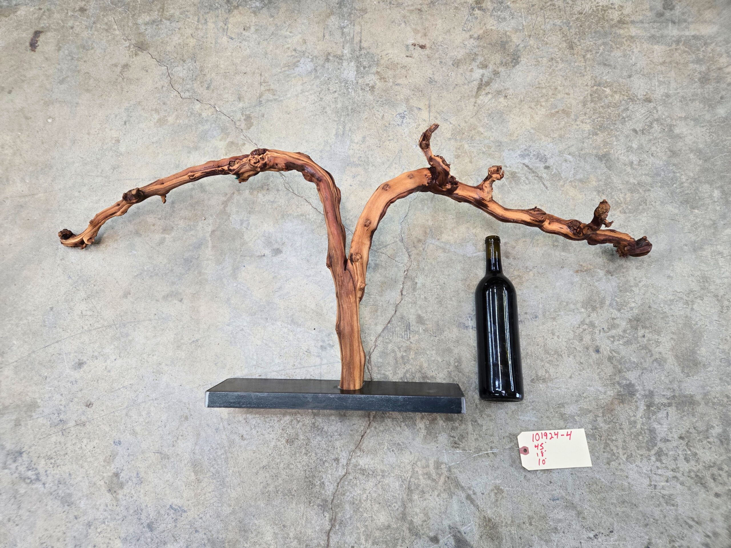 Schramsberg Chardonnay grapevine sculpture 101924-4, full front view