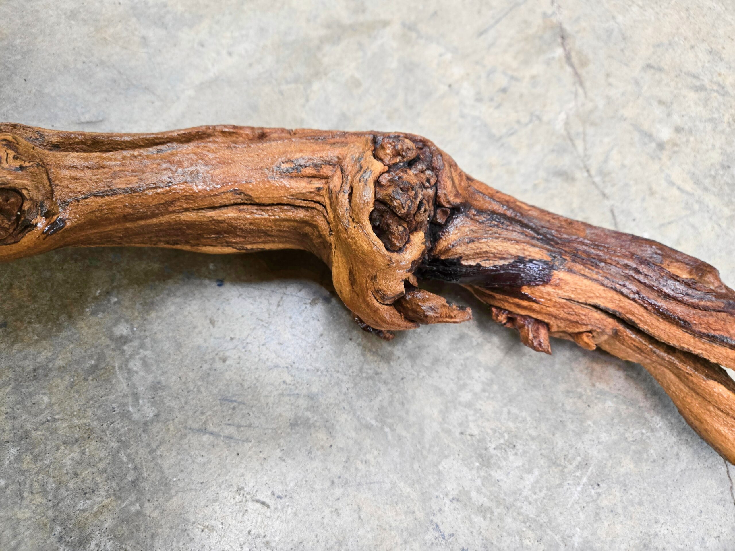 J. Lohr Cabernet Grapevine Art on a Wine Barrel Base – 111624-46 - Image 5