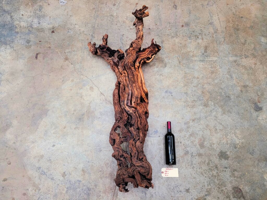 Mondavi Cabernet grapevine sculpture 123122-1, full view